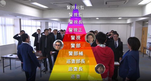 警視廳零系 生活安全科萬能咨詢室 第五季 數(shù)據(jù)處理服務(wù)