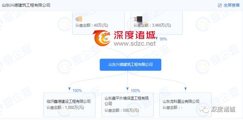 官方處罰公告的嚴謹性與企業的沉默 房地產信息咨詢行業的監管反思